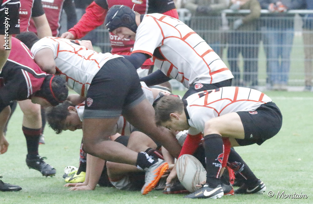 161113D_078_7D111819