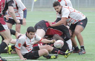 161113D_202_7D111935