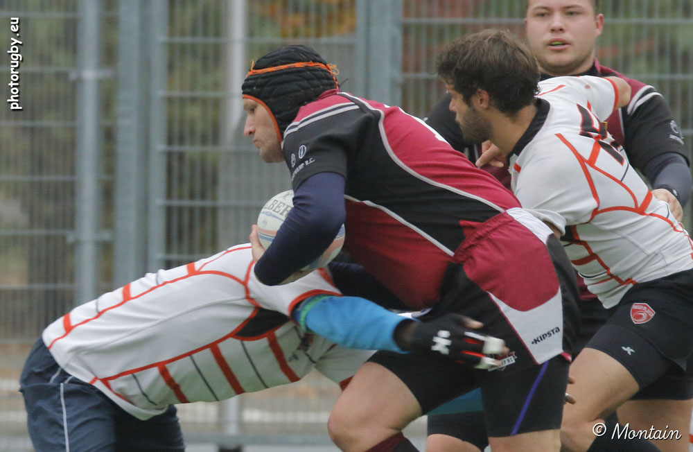 161113R_077_7D111608