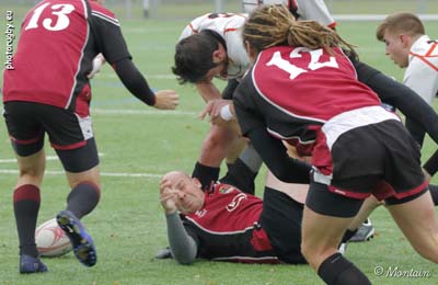 161113R_023_7D111560