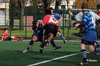 Ca_B_As_071111_057_4_6766